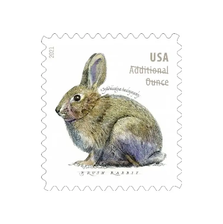 Brush-Rabbits-Stamps-.webp