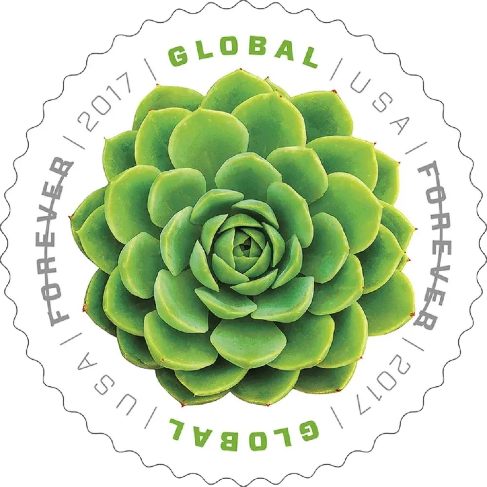 Global-Green-Succulent-2017-5-Sheets-50-Pcs