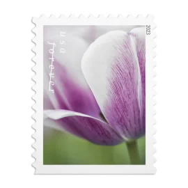 Tulip-Blossoms-Cheap-postage-forever-1Stamps-1.webp