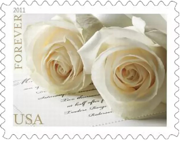 White-Rose-Stamps-forever-discount-cheap-in-bulk-2