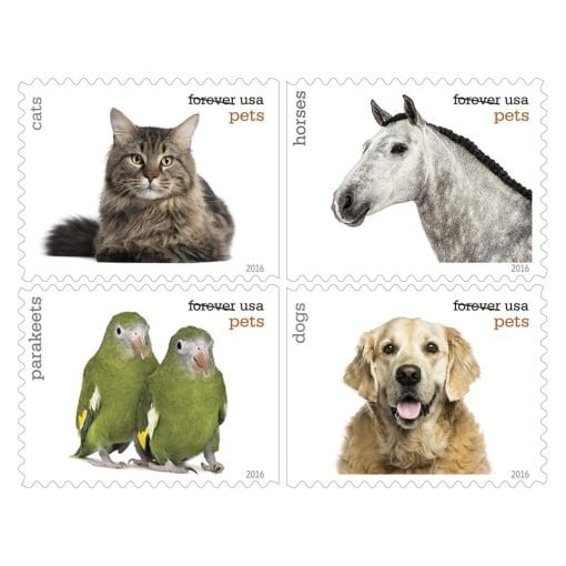 pets-cheap-forever-stamps-in-bulk-on-sale-2.jpg